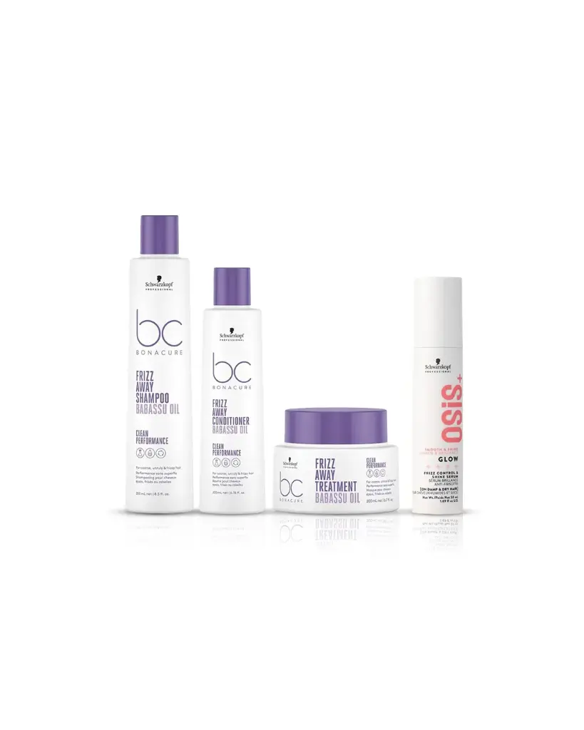 Schwarzkopf Dry and Frizzy hair Bundle (Small)